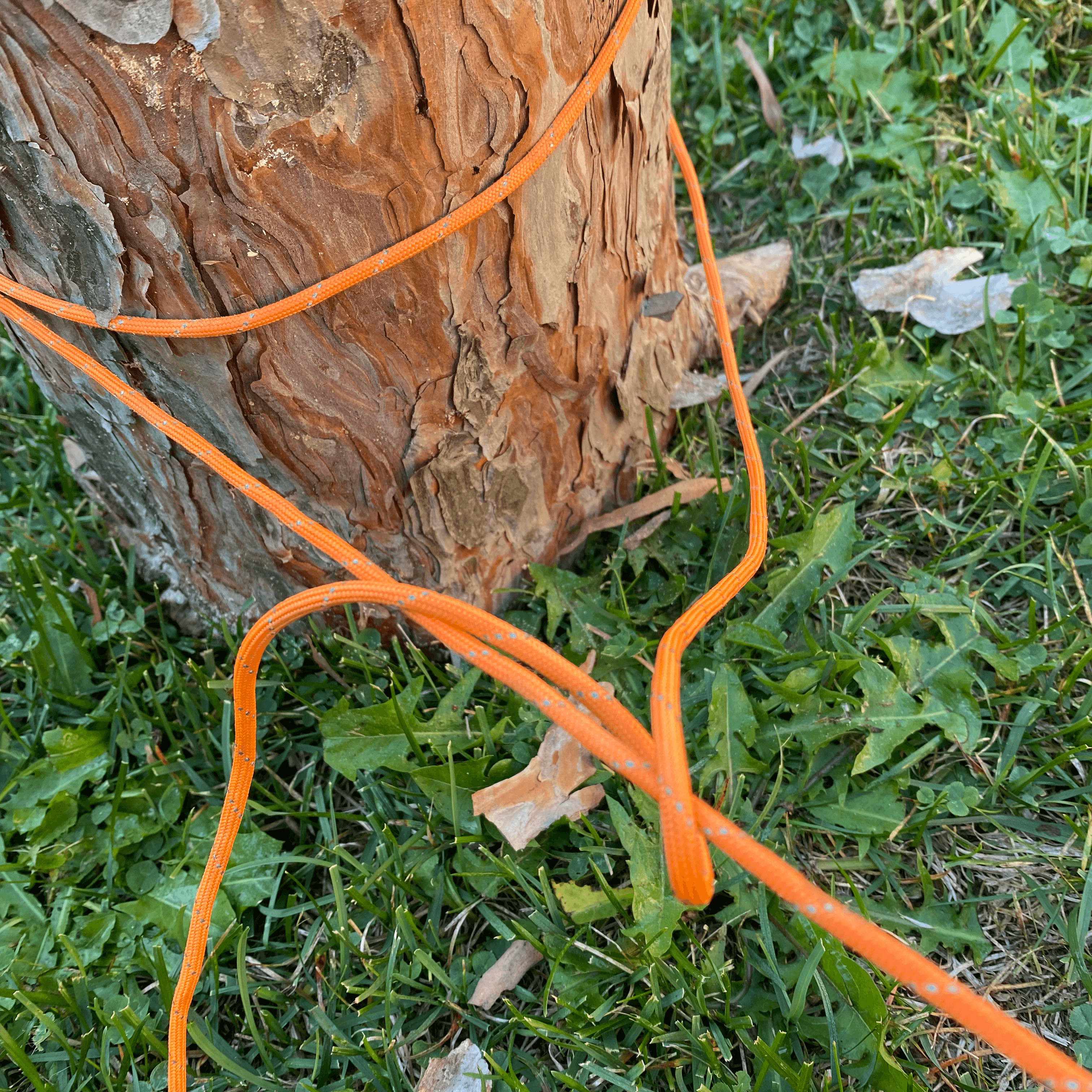 wrap working end around the standing line, first half hitch