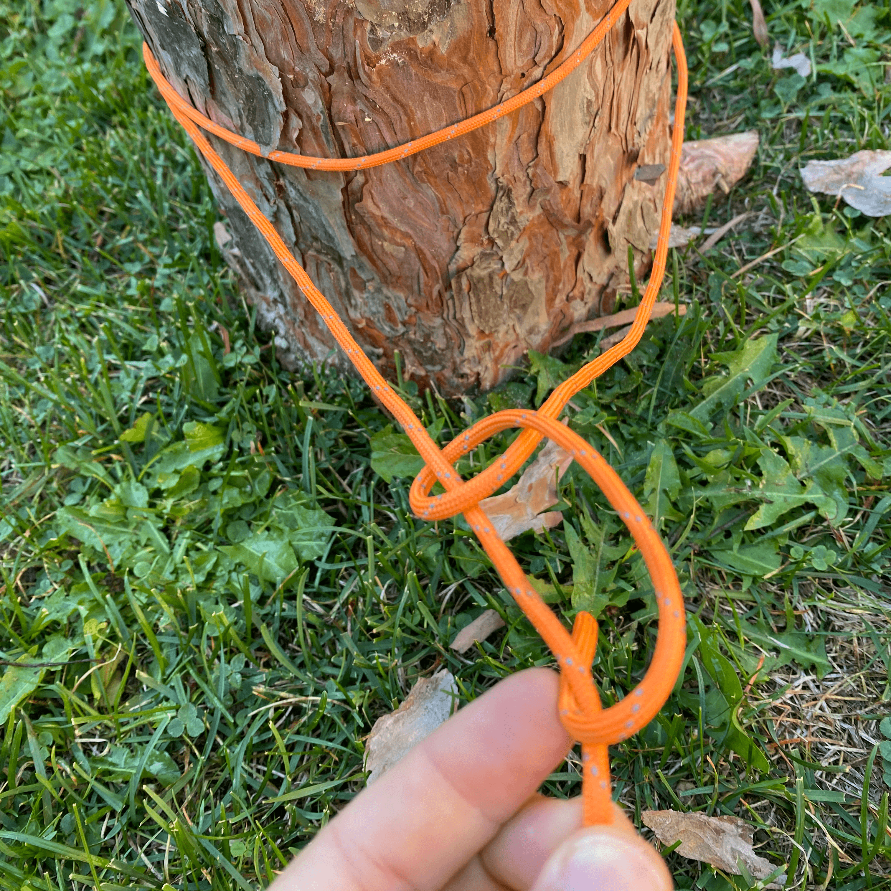 repeat for second half hitch