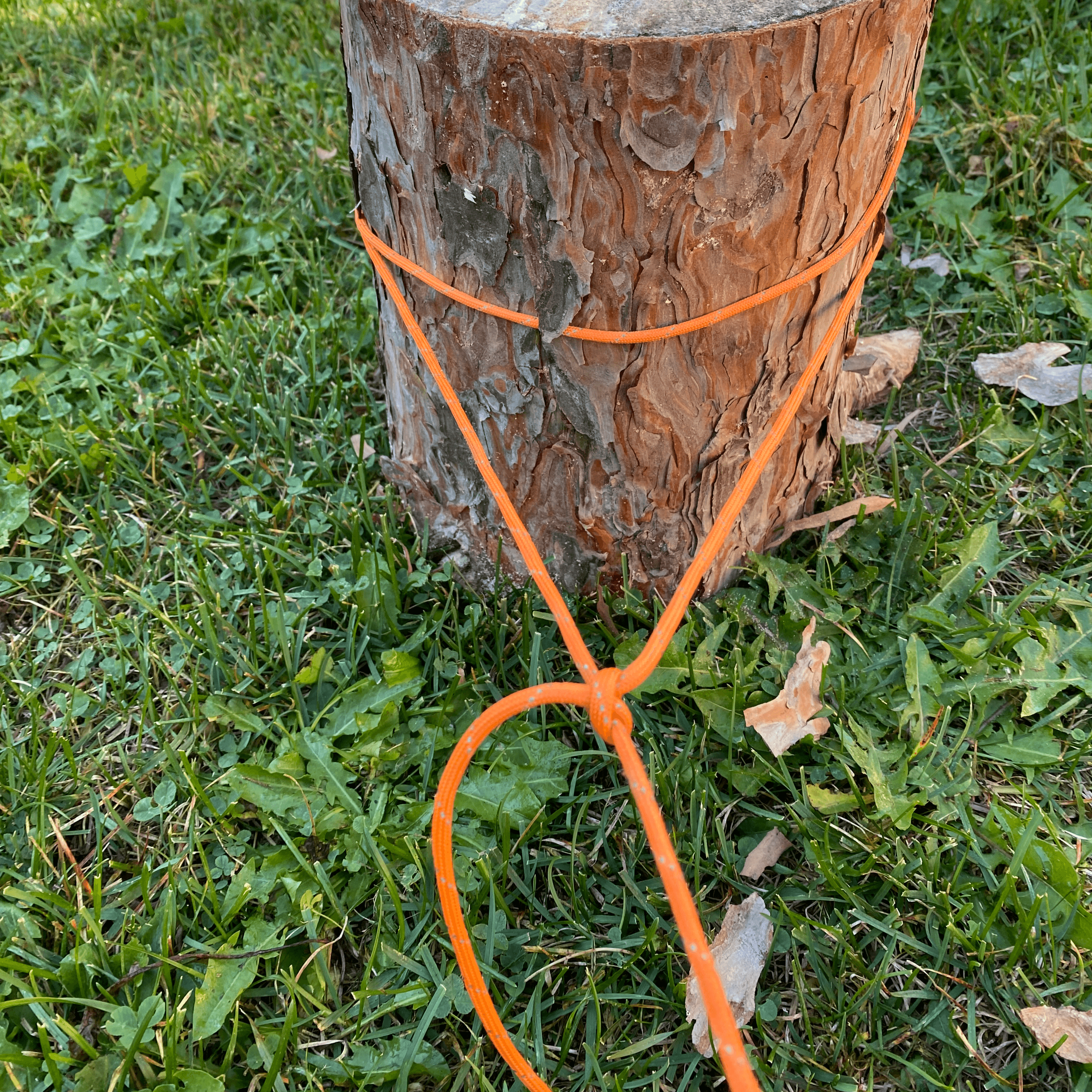 tighten hitches
