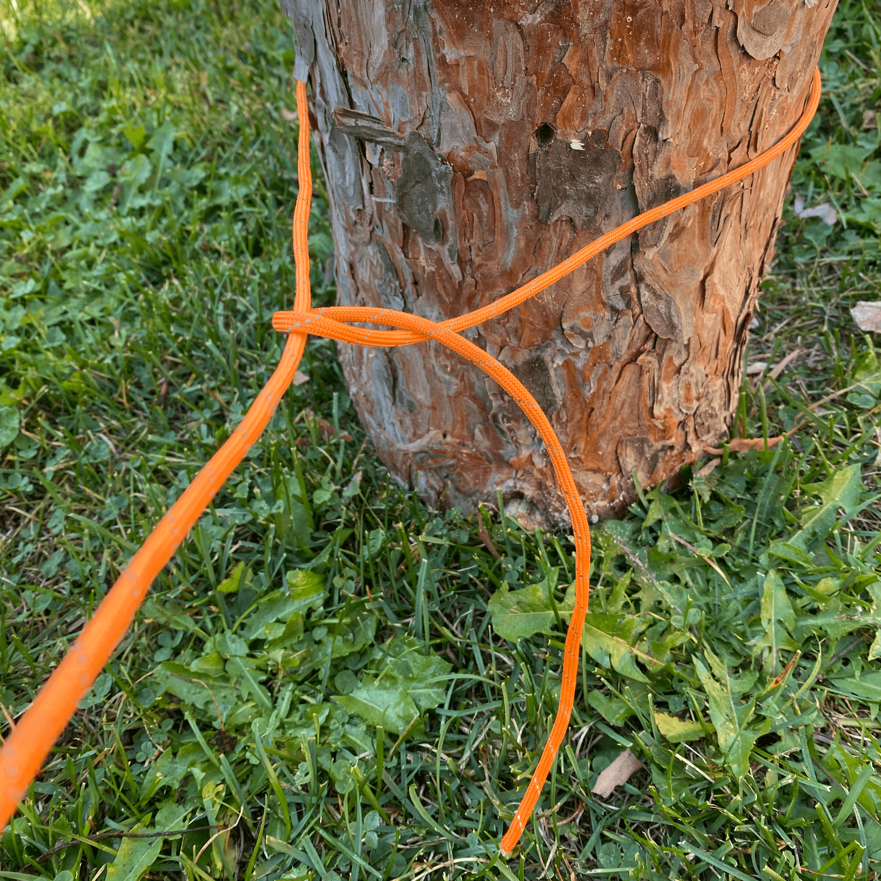 wrap working end around standing line towards anchor