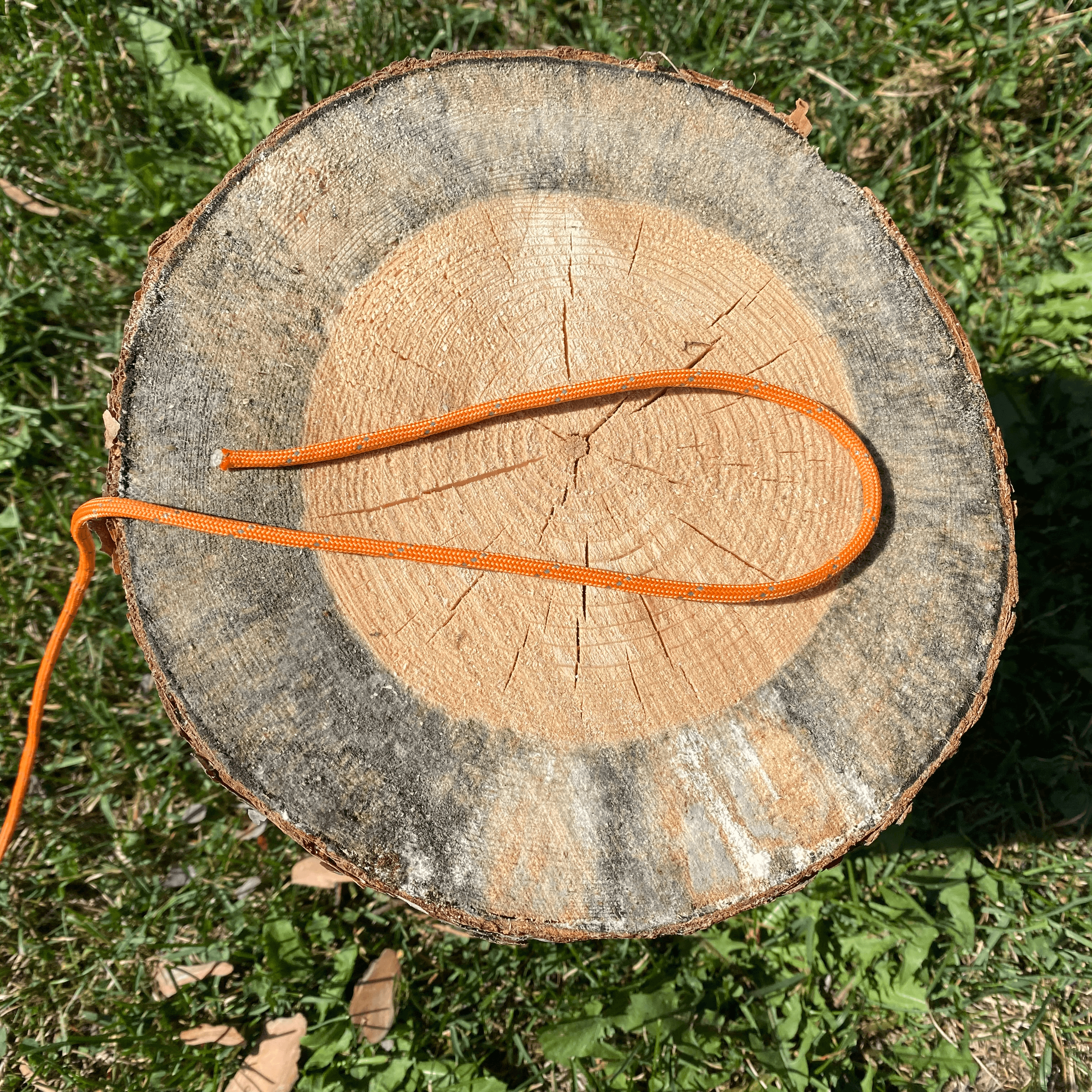 make a bight in the larger diameter rope